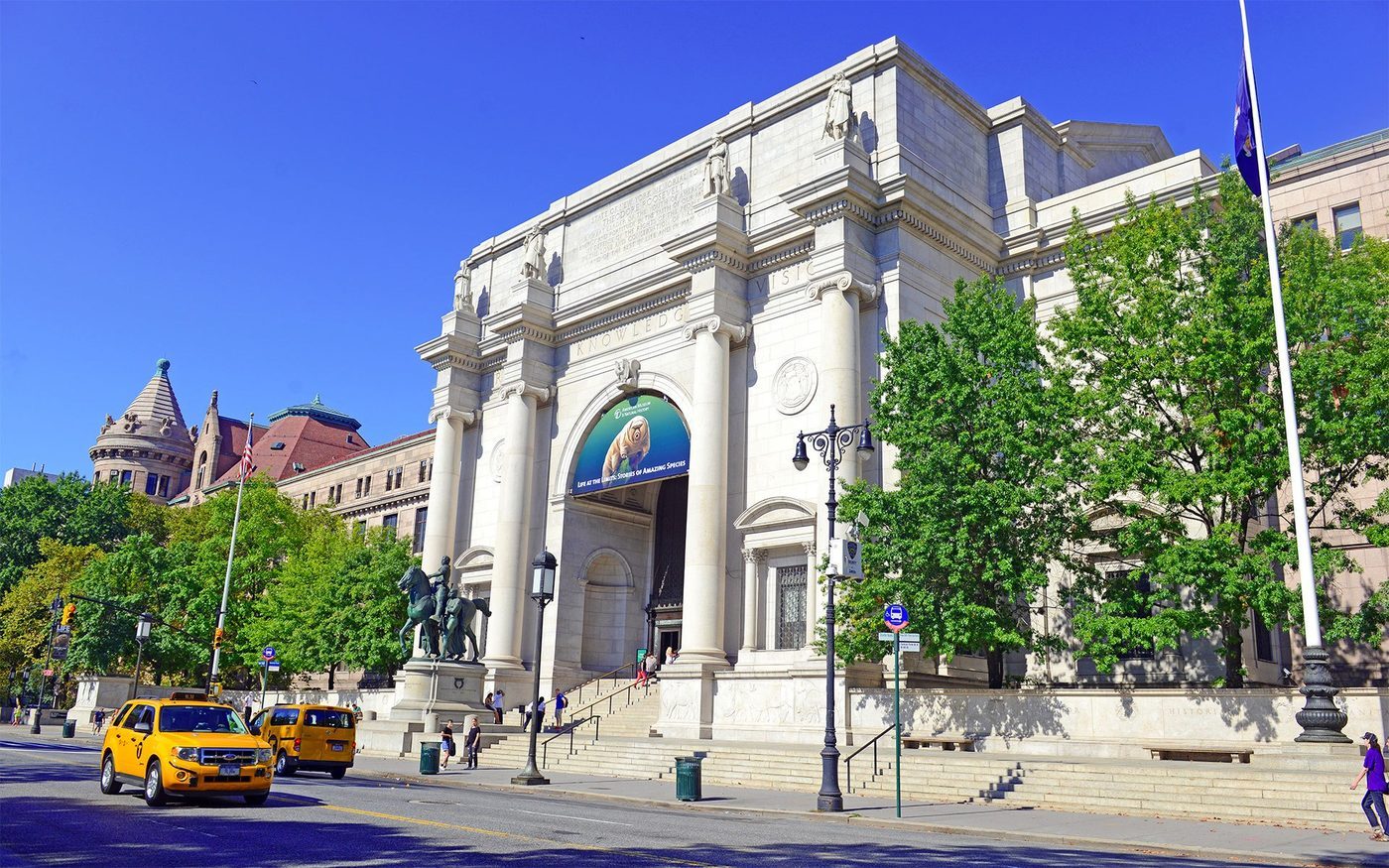 Musée americain d'histoires naturelles New York
