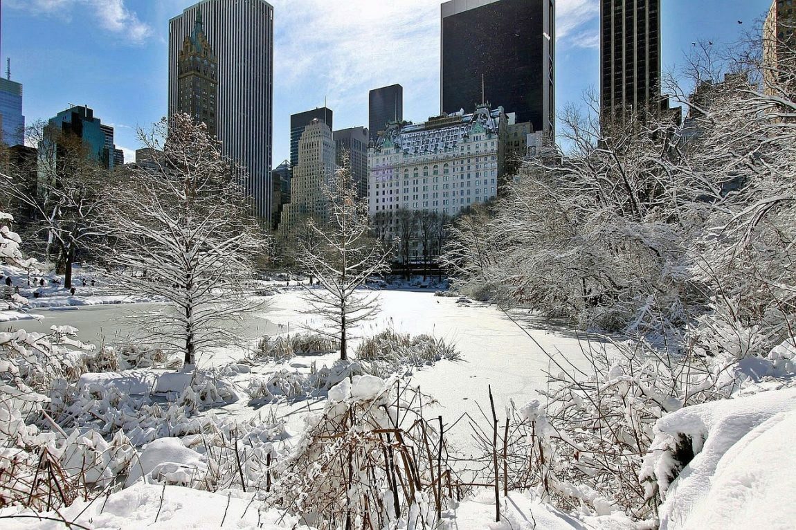 New York Winter
