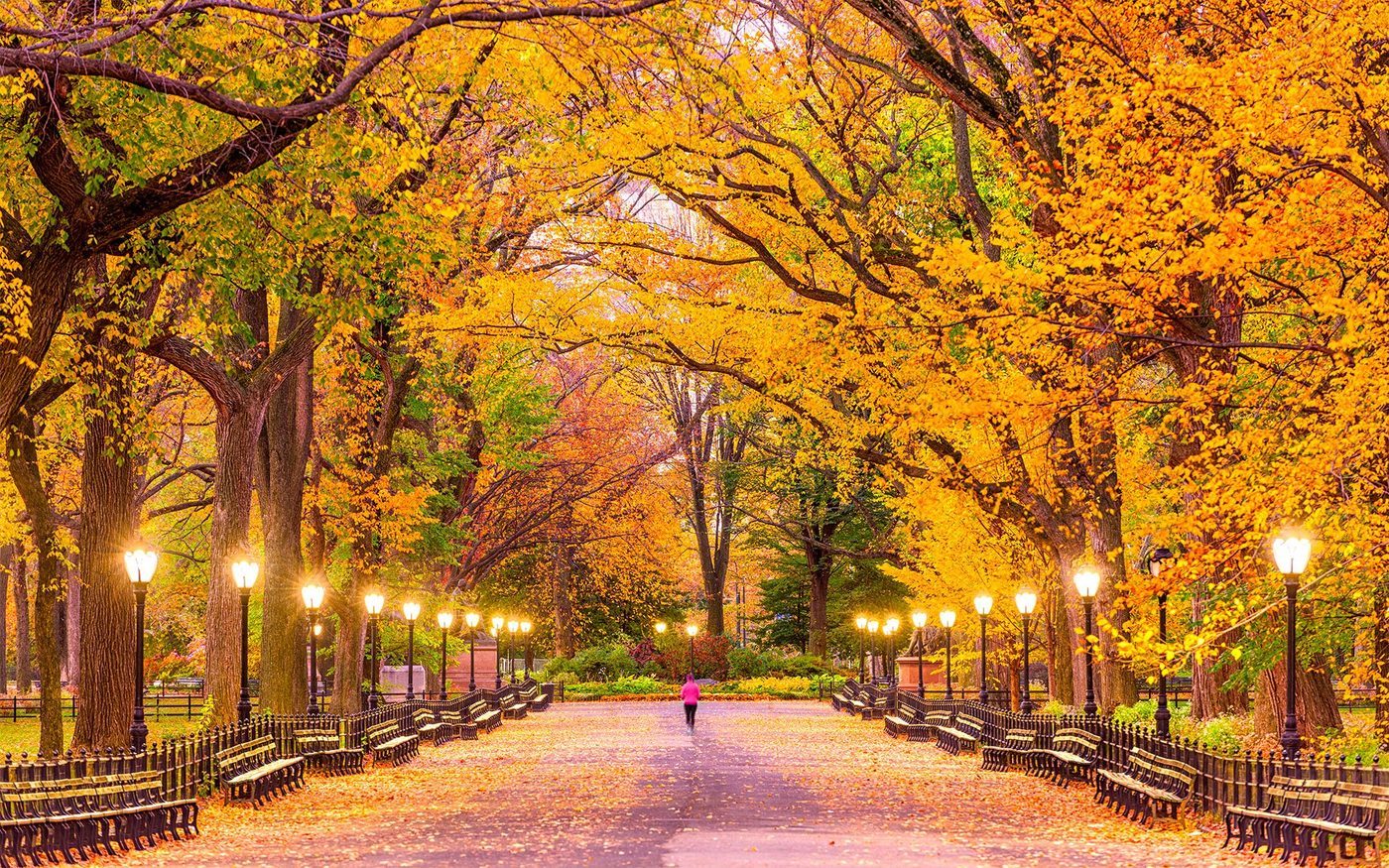 Quand partir à New York ?